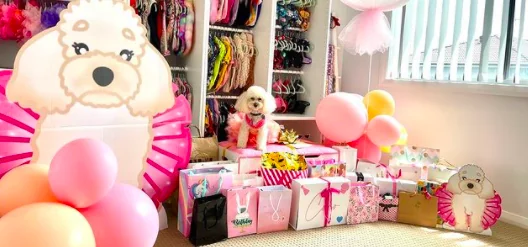 Coco, il cane più ricco del mondo